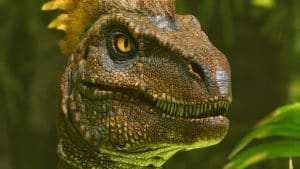 Ark: Survival Ascended 2