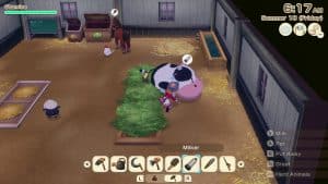 STORY OF SEASONS: Grand Bazaar 2