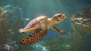 Planet Zoo 2 3
